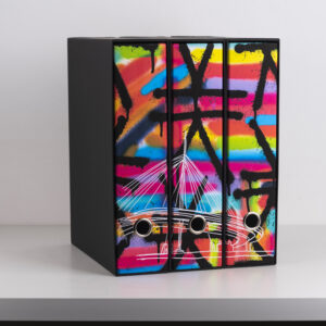 Raccoglitore Set 3 Pezzi X3 “Rainbow" Limited Edition - immagine 8